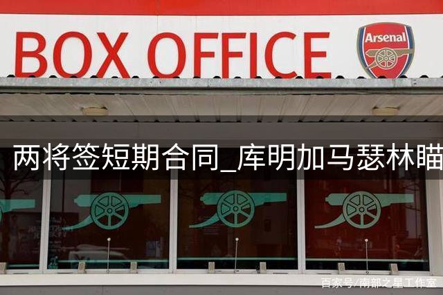 两将签短期合同 库明加马瑟林瞄准2027年自由市场