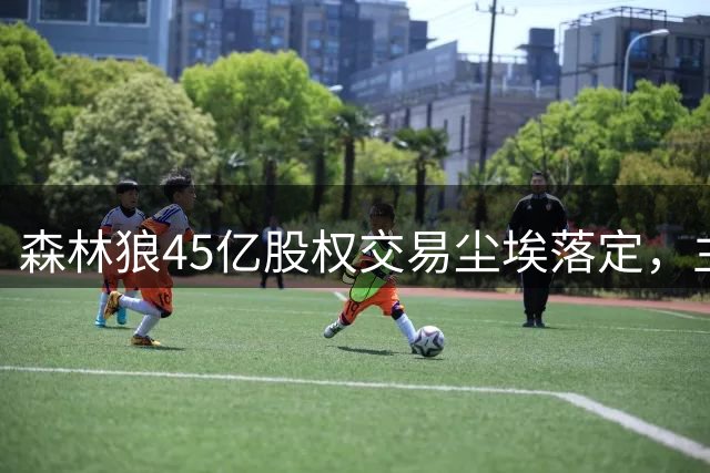 森林狼45亿股权交易尘埃落定，主力股东调整